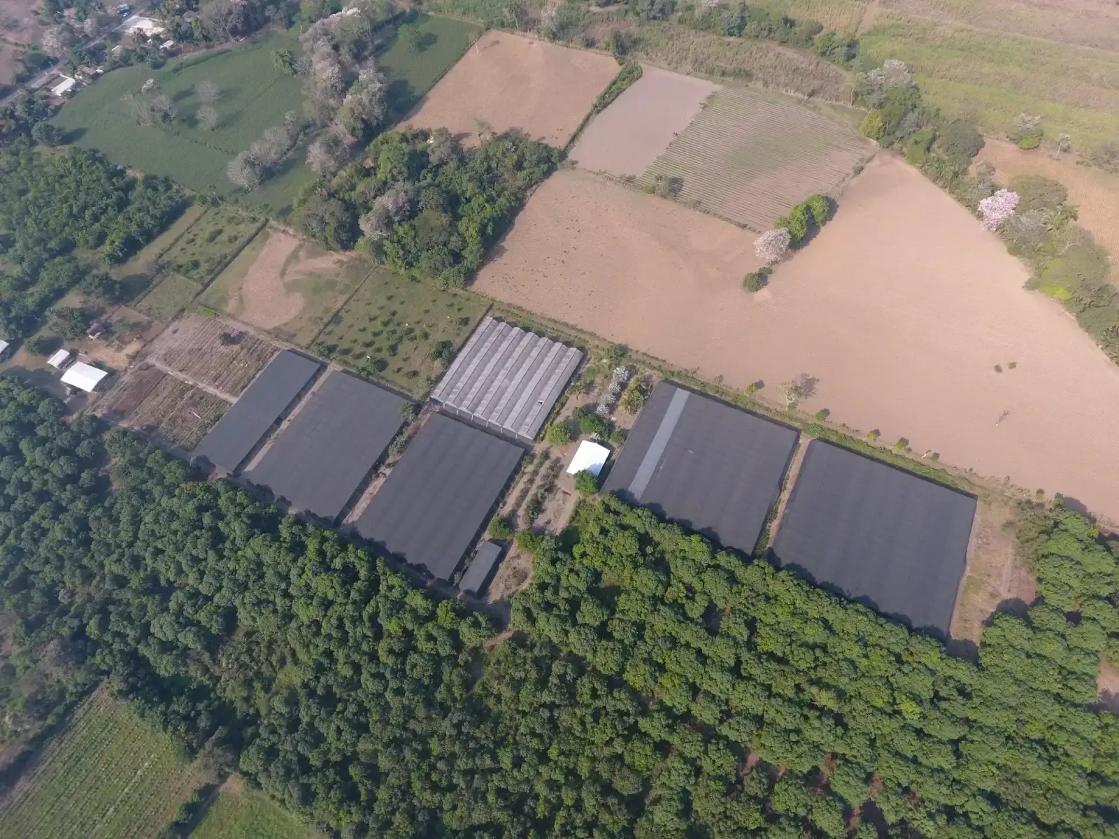 Vista aérea de una finca